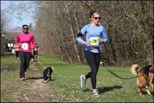 K9-5K1a K9-5K1a